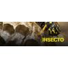 Insecto